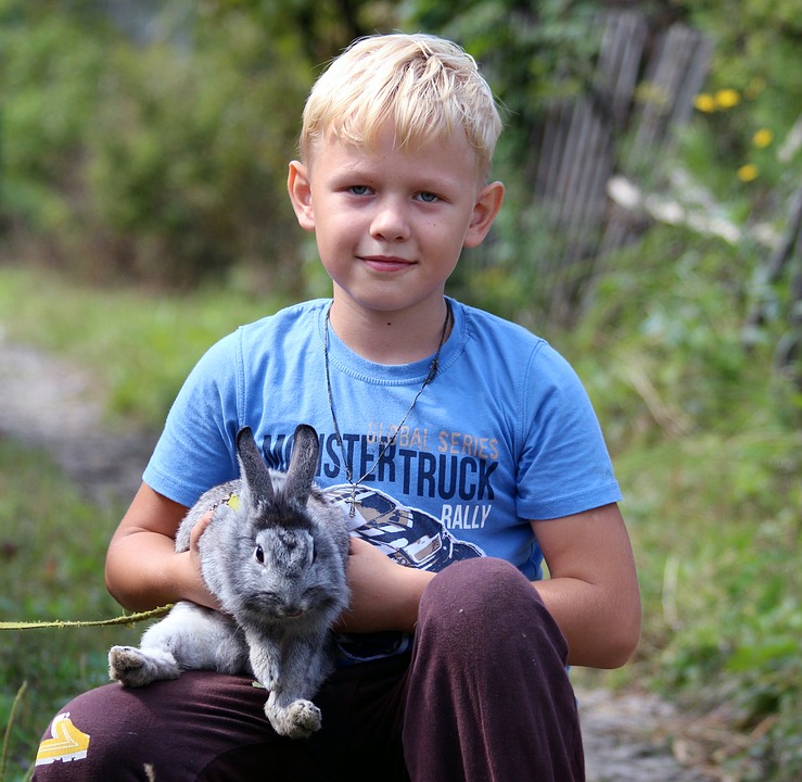 Dreng iført blå trøje med kanin