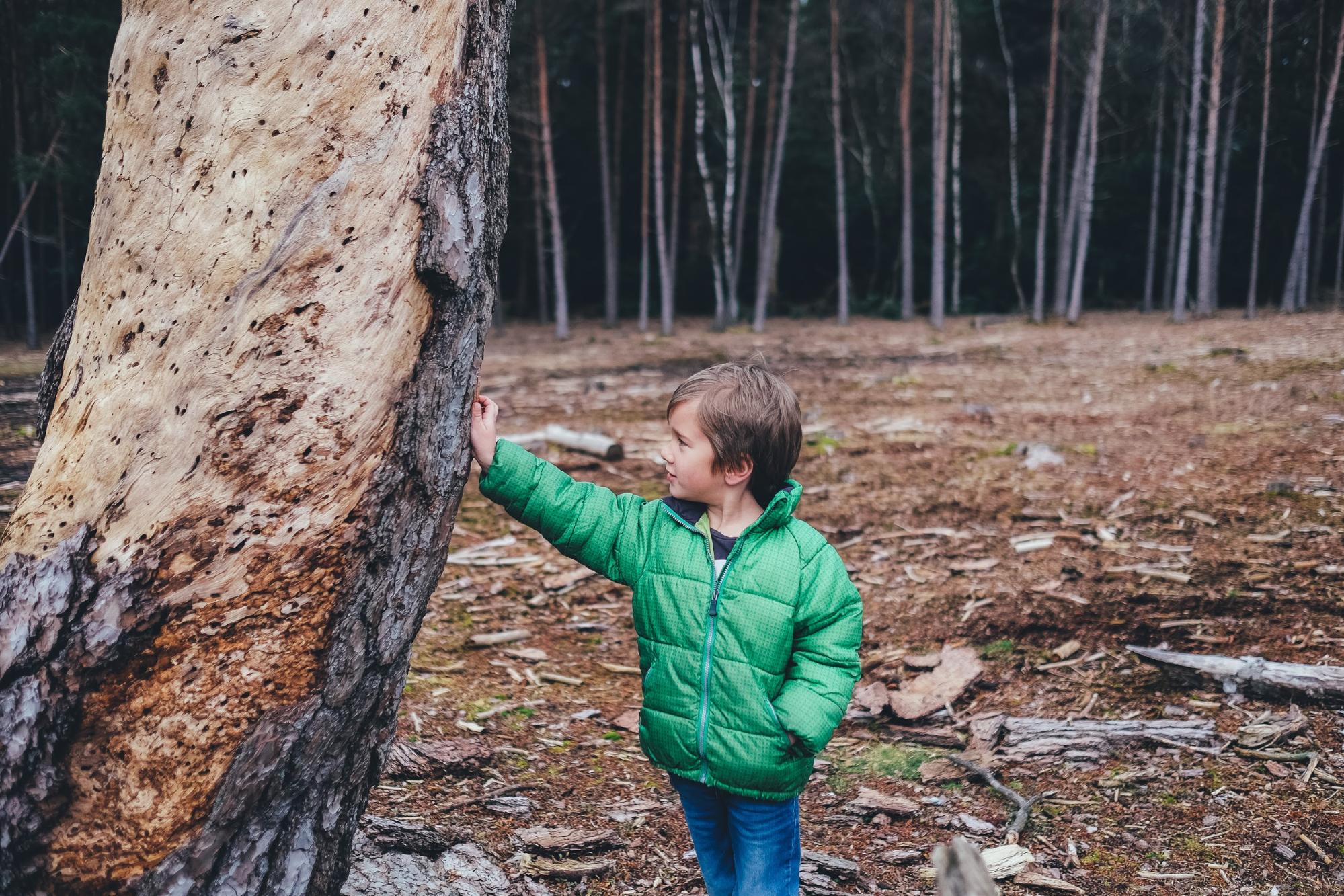 Dreng i grøn jakke, der røre ved et træ
